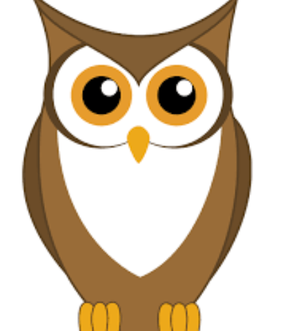 Wise Owl