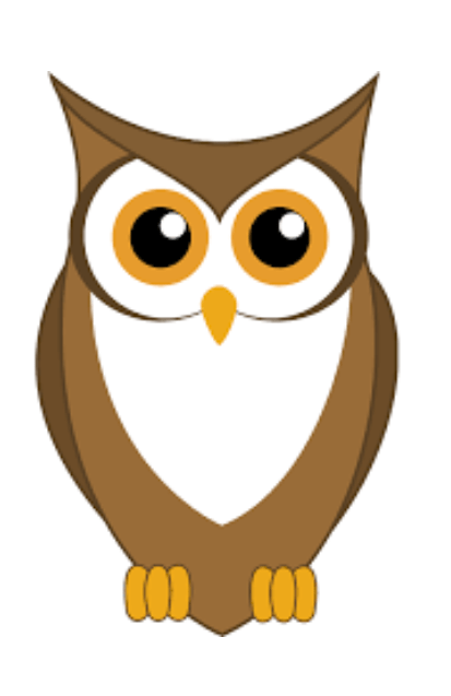 Wise Owl